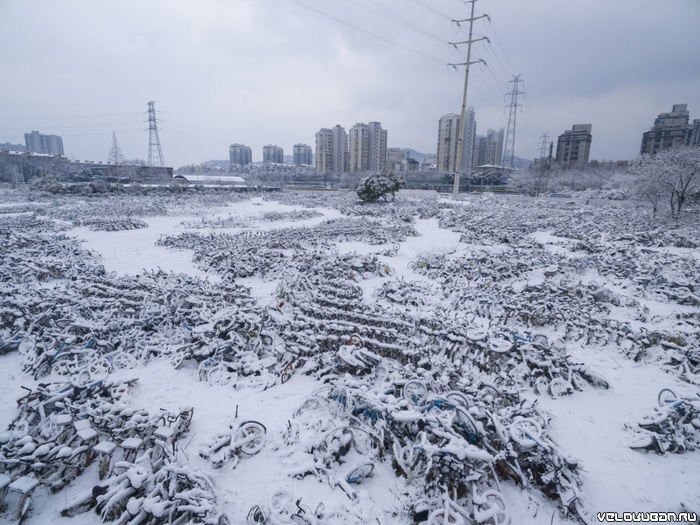 Велосипедные кладбища в Китае: фотосвидетельства эпического бизнес-провала