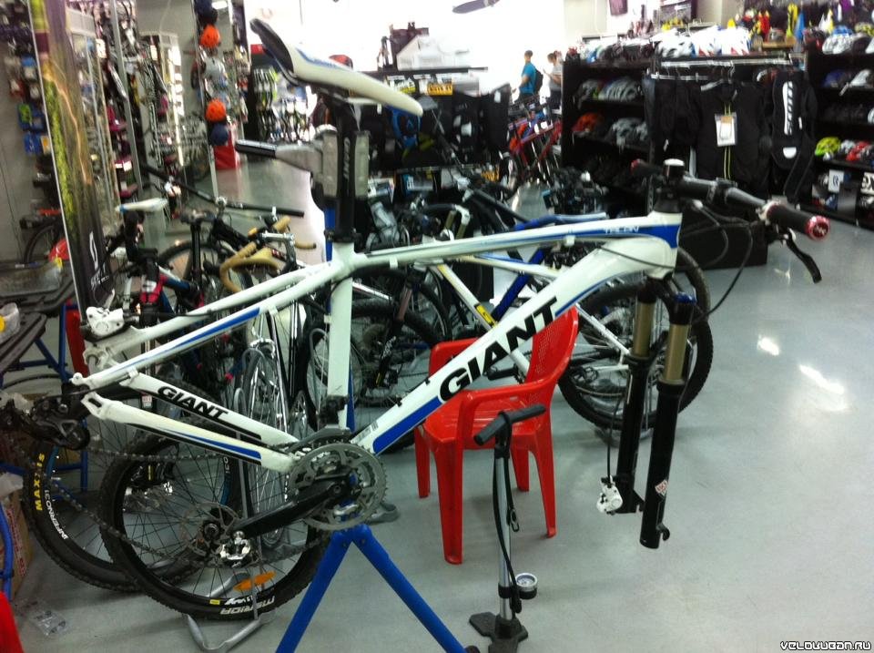 Giant Talon 29er1 (2011) 2